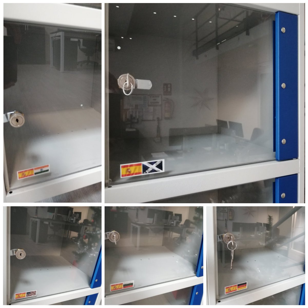 Yoana Dimitrova tweet media