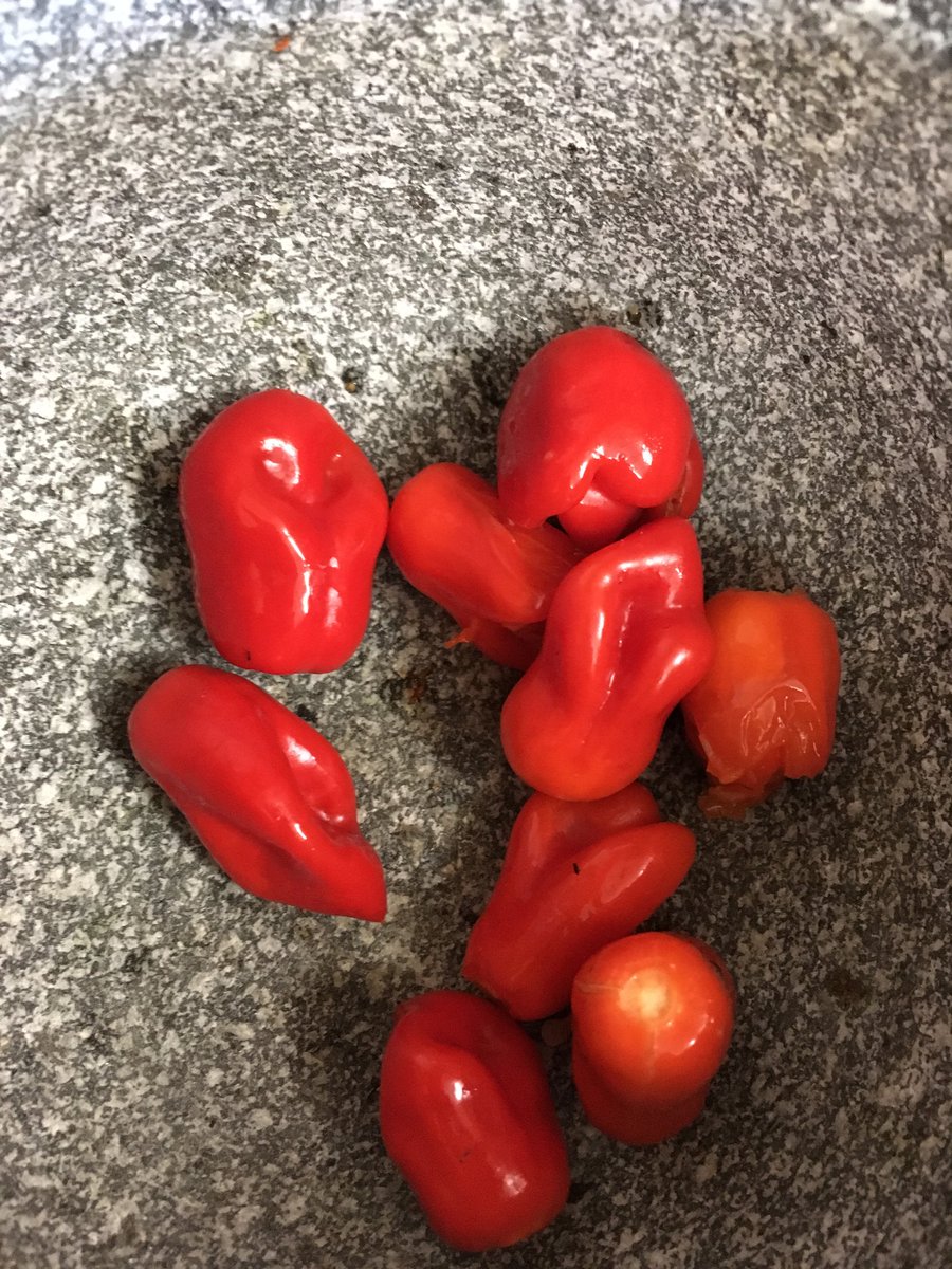 SuperhotSeeds's tweet photo. #datil #Pepper #hotpepper #superhotseeds #capsicum #superhotpepperseeds #capsicumchinense  #chilli #hotchilli #pepperseeds #chiliseeds want #seeds heres where https://t.co/5kCjVaNHUB https://t.co/mjaSYSyFrB