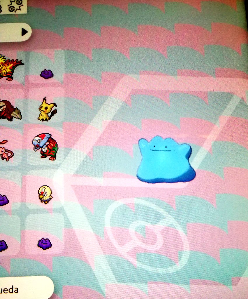 Redsfusion's tweet photo. 🔥¡NUEVO SORTEO!🔥

Dragapult shiny full ivs con Ditto shiny full ivs japonés. 🎀

🎄 ¡2 ganadores! 🎄

✨{RT para participar}✨

Los ganadores, el lunes por la noche. ¡Suerte! 💜✨ https://t.co/WmA7vgFckJ