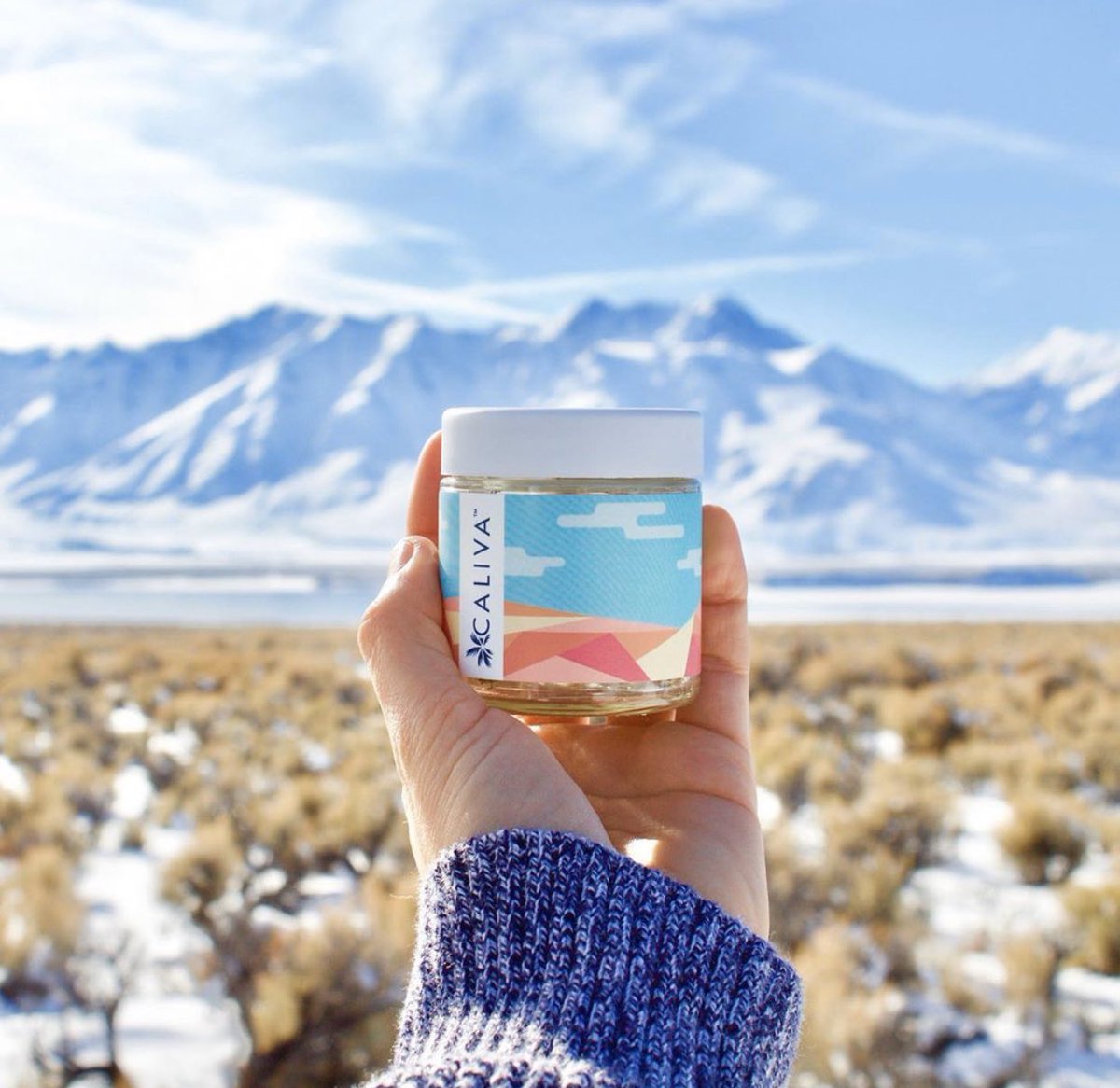 Sweet Flower tweet media