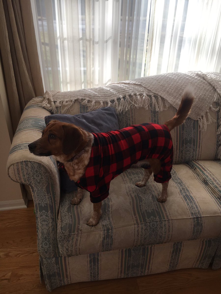 CoryCalvert9's tweet photo. @veschwab And this is Avery in her new Christmas jammies https://t.co/MXagdwaLCA
