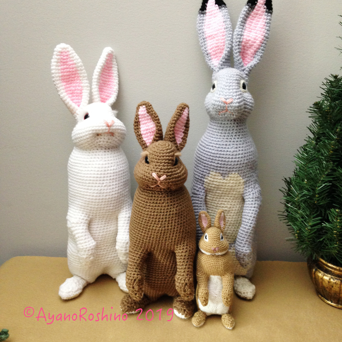 Ayano 筋肉隆々に見える方もいらっしゃるようで笑いが止まりません 後ろ姿撮り忘れちゃったのでそのうちまた撮影しますね