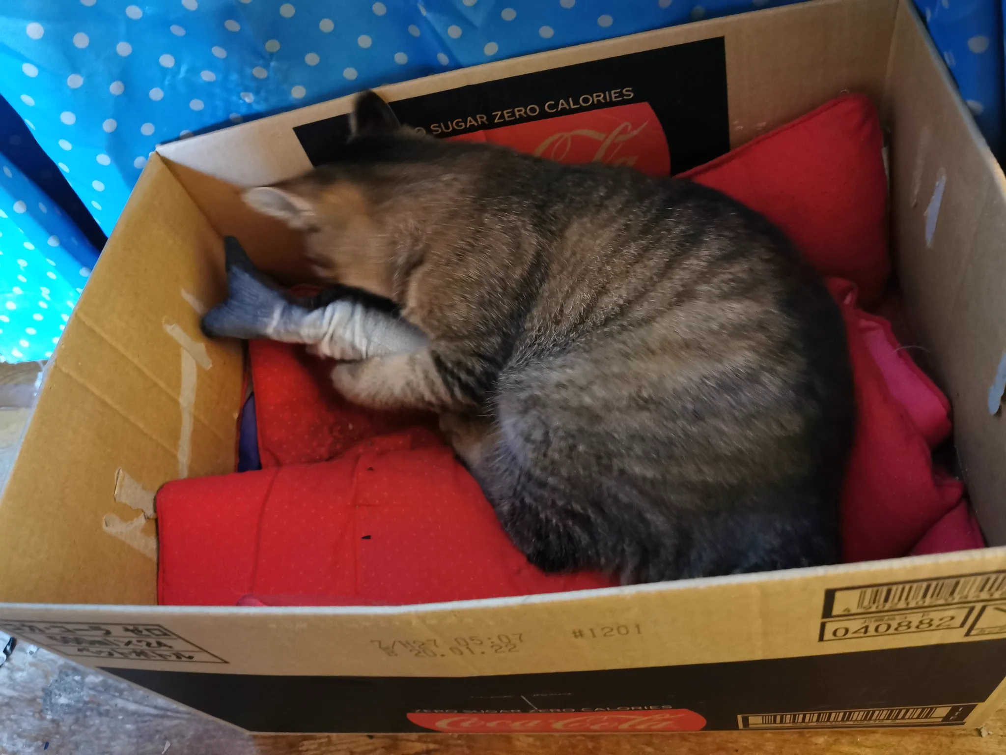 @K5dbZRmjNe77i5r うちのもあっという間に破壊されました 