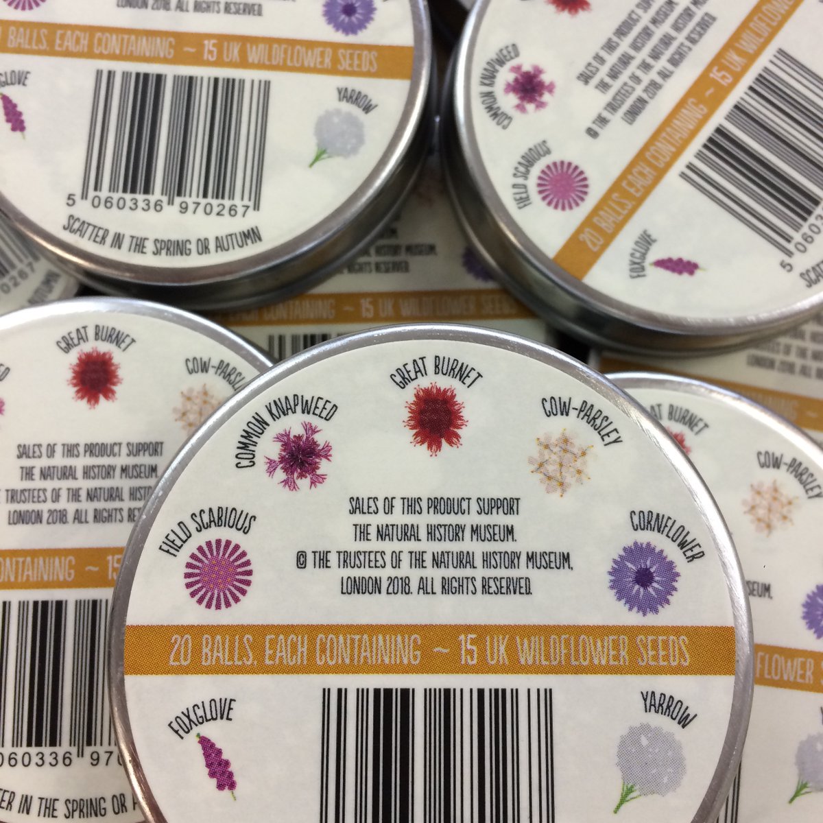 seed_ball's tweet photo. Look at this gorgeous mix of wildflowers for little beasties. #BeetleMix #Seedball https://t.co/Bi1IITx9WU