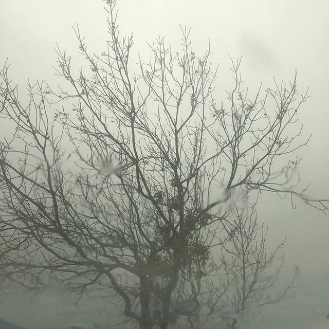 iamthefollows's tweet photo. Just running errands this morning. .
.
.
.
.
.
#nofilter #shotoniphone #vibe #santaforgot https://t.co/312e9DqKhZ https://t.co/nuQ3jQndMz