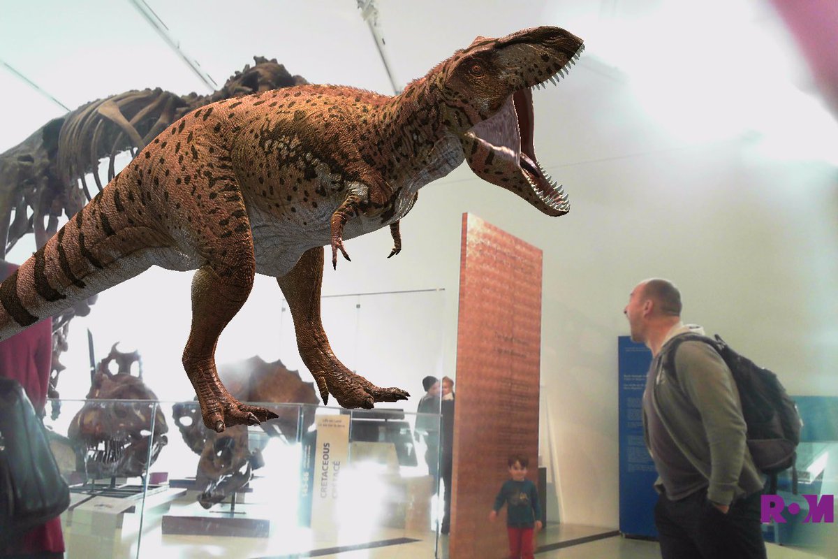 acroll's tweet photo. Excellent morning at the @ROMtoronto #ROMtrex today. https://t.co/5iofF1FsVh