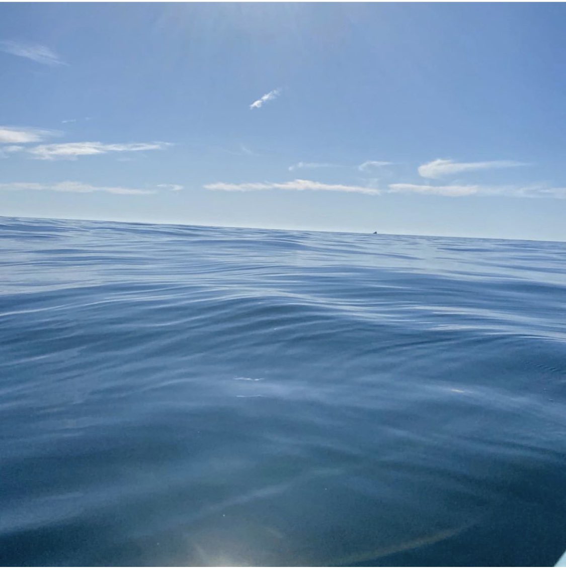 SUPGirl949's tweet photo. To some it is just the ocean...
for me it is a place where I found myself. 

#StandUpPaddleGirl #SweetandSalty #ASeafarersJourney  #SaltyandSunkissed  #Watergirl  #TheSavingSea #OceanLover #Maverick #WanderWoman #HolisticHoney #StandUpToTrash #StopTrashingWaves #RiseAbovePlastic https://t.co/S2IguVIpf2
