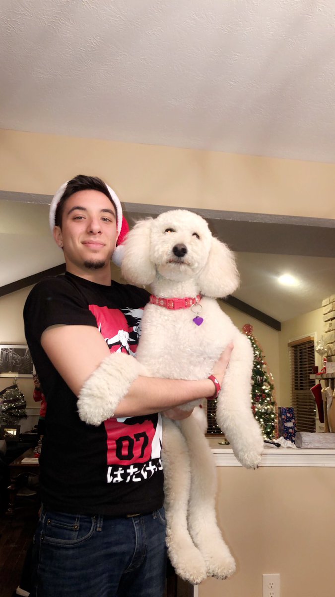ZGold_'s tweet photo. a few christmas pics. hope everyone’s holiday season is full of life and love! https://t.co/sfd7pACkST