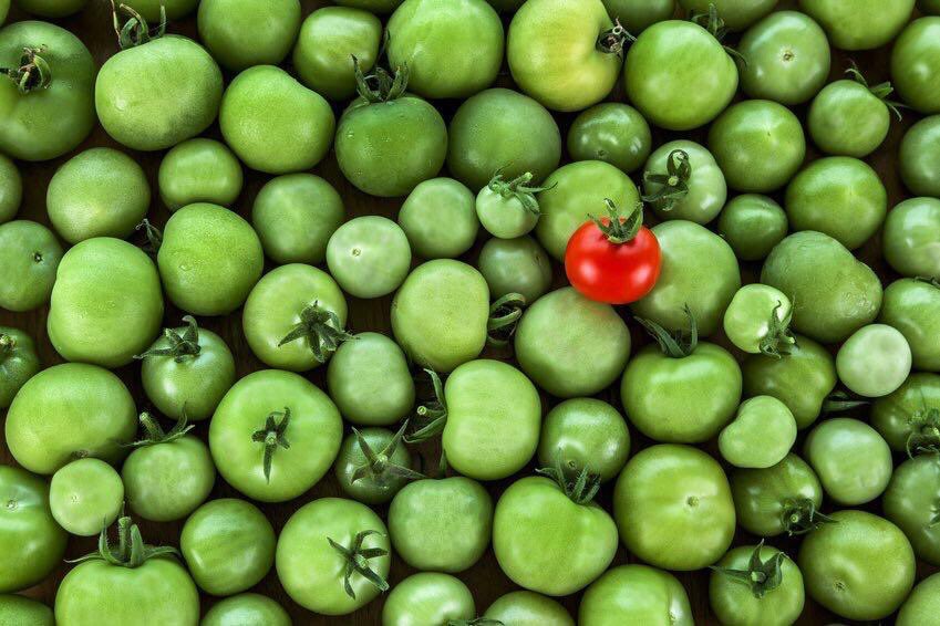 Gucci_Felan's tweet photo. Be that Red 🍅! #StandOut https://t.co/NJ7yhRzfZv