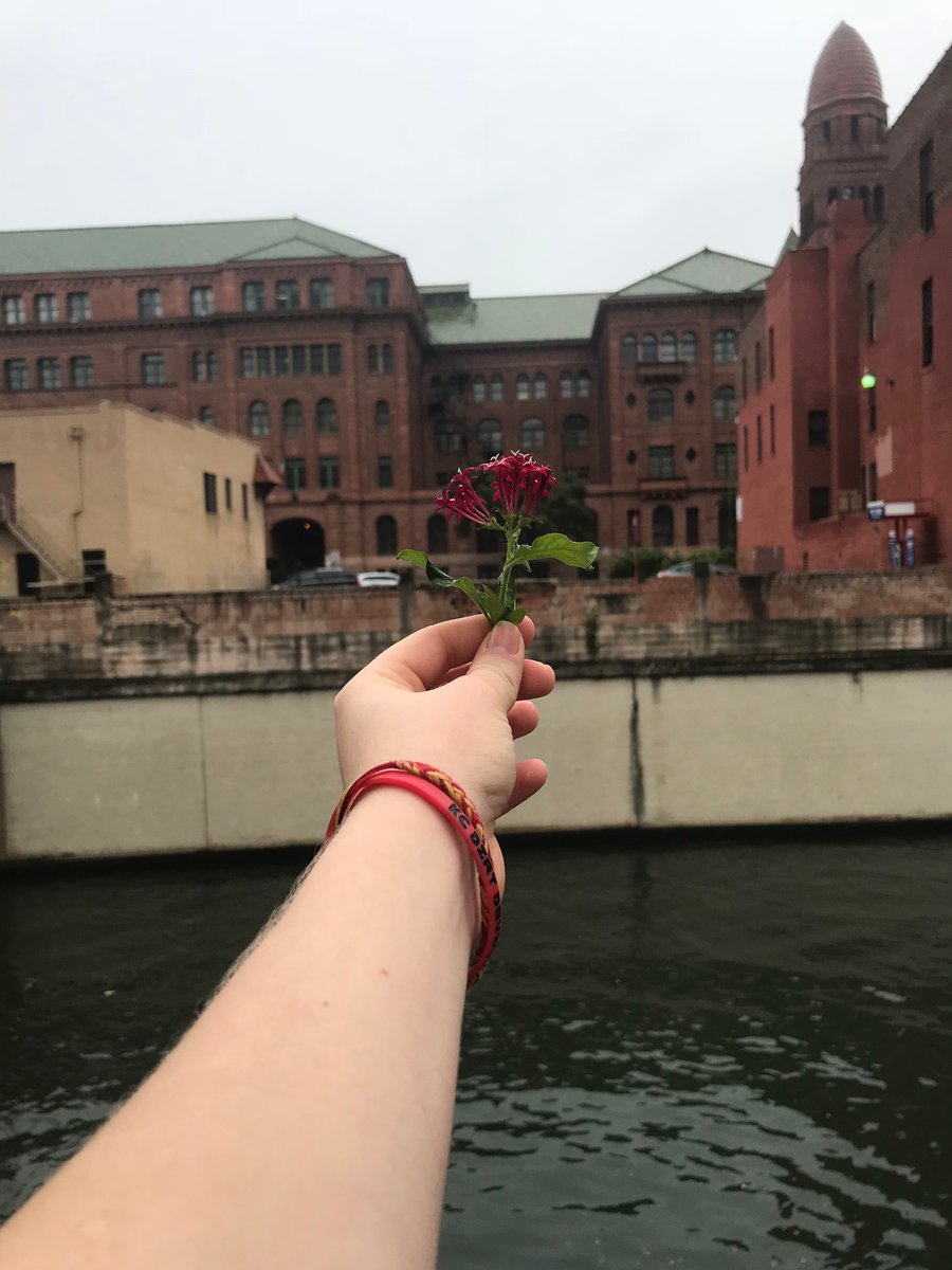 KyleeRae15's tweet photo. Like wildflowers we must learn to allow ourselves to grow in different places. Unknown

Taken in Texas https://t.co/lxxEg85tNz