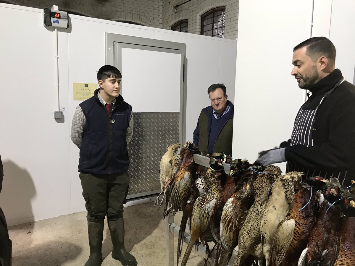 Mike Thornley tweet media