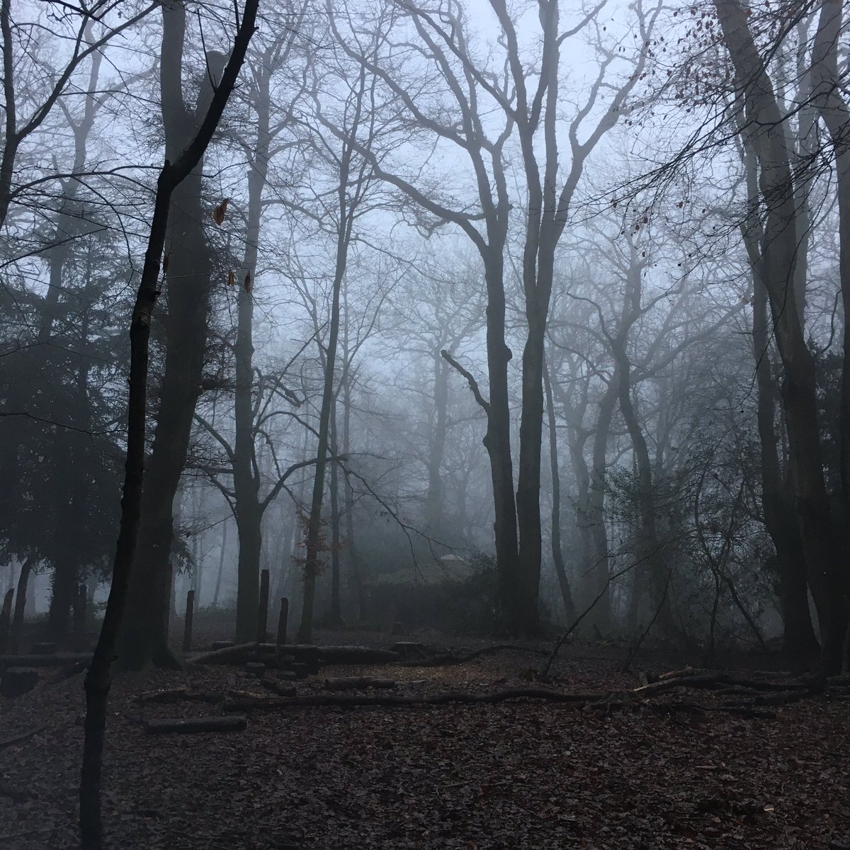 VolkskammerG's tweet photo. Into the woods #forest #fungi #ddr #gdr #froelichweihnachten #nostalgie #1980s 
Happy DDR Christmas 🎄Back home 🎄 
#schwedt #wald #pilz #ostilife #parents #hometown #heimat #unheimlich #heimatort #eltern #weihnachten #volkskammer #curatingissuchhell https://t.co/UVRviKmdFx