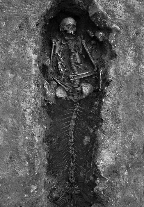 ArqueoEduca's tweet photo. El prestigioso Instituto MAX PRANK de Biología Evolutiva sigue presentando nuevos resultados del análisis de ADN de esta nueva especie, bautizada por la Ciencia como "Homo seiren".
Sabemos que prefería las aguas cálidas, tenía los ojos azules y el pelo rojo y su dieta era... https://t.co/oBpXwIjflL