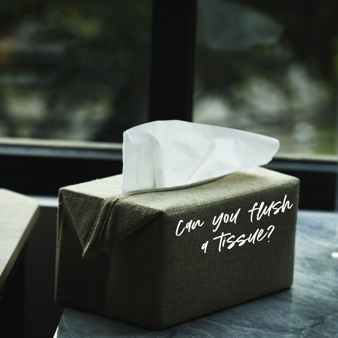 danielsaustintx's tweet photo. One of our biggest questions asked is "Can I flush a tissue?" 
Daniel's answer: NO! Kleenex, other facial tissues, and even "flushable" wipes are NOT actually flushable. 
Always dispose of waste in your trashcan. https://t.co/uVnW7LsyYO
