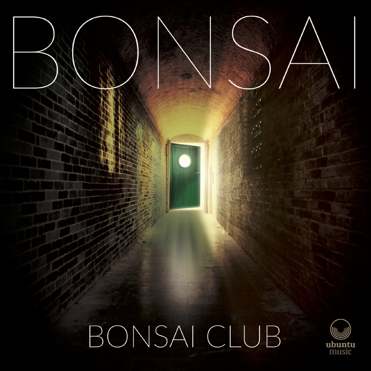 Bonsai tweet media