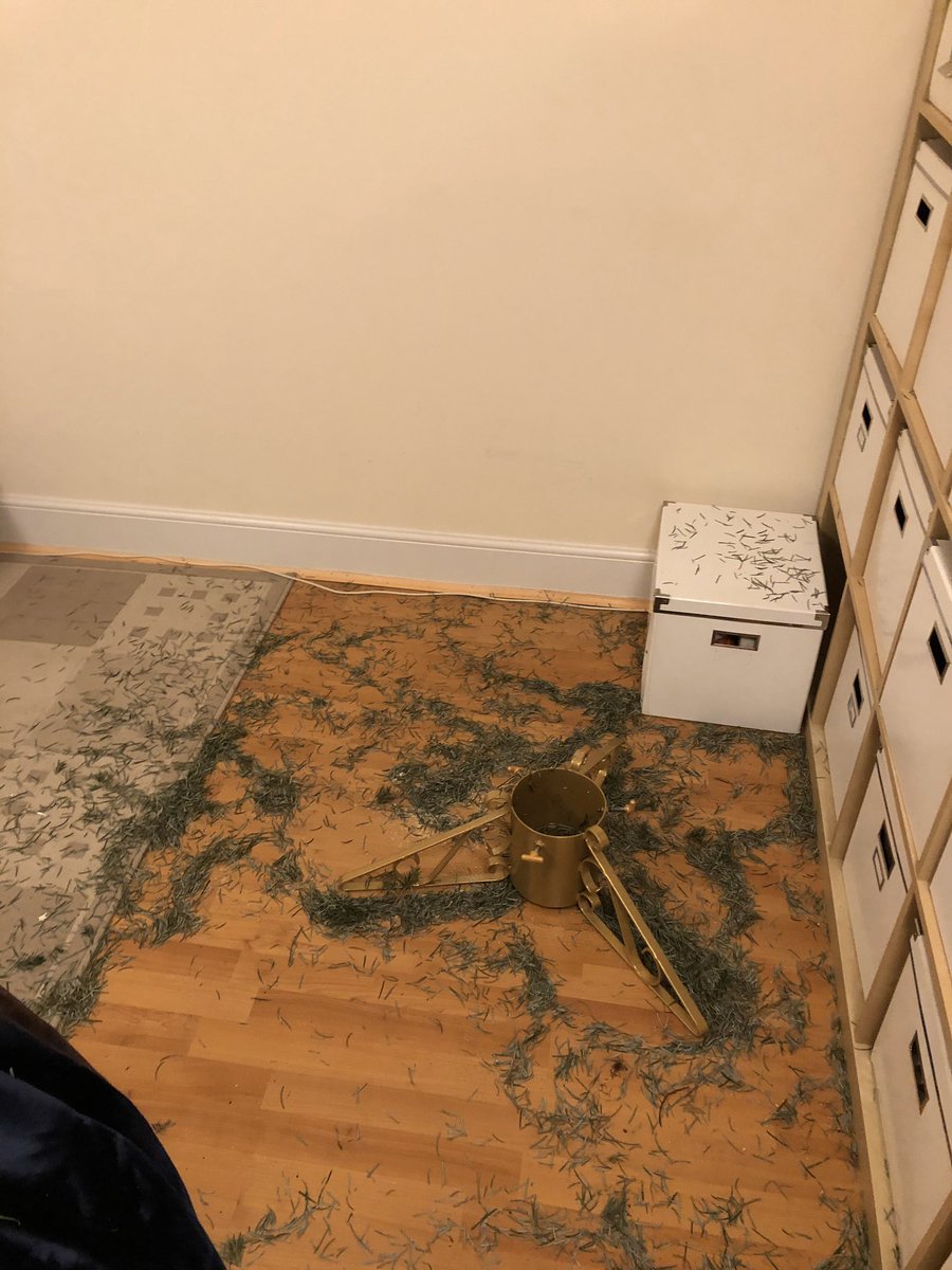 fibroresearcher's tweet photo. When you go out for 5mins to meet a friend and the grinch pops by! ππ±π’ #apparentlychristmasisover #byebyetree https://t.co/CsZcfwy0FL
