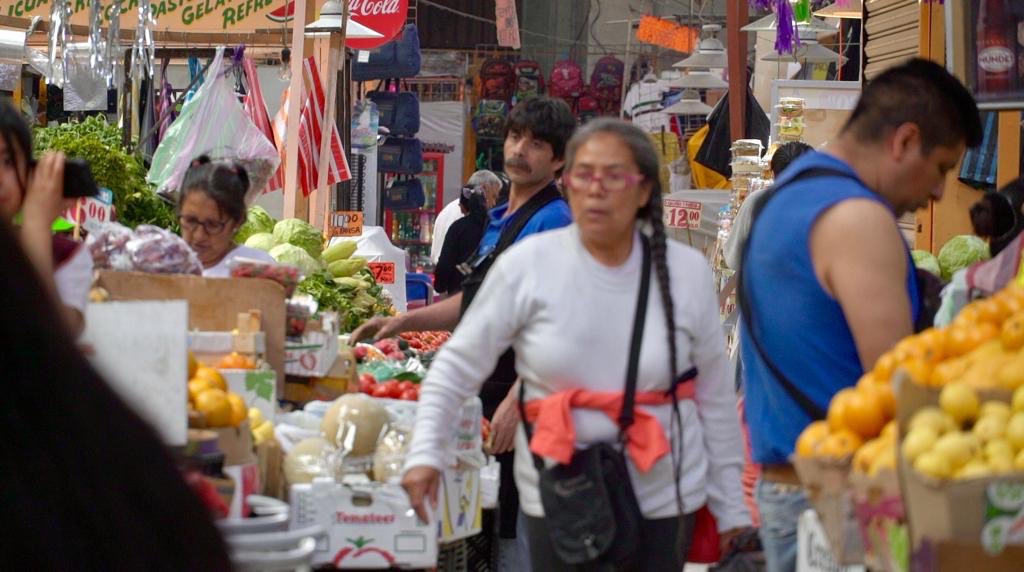 Claudiashein's tweet photo. Los mercados públicos son gran patrimonio de la Ciudad y son centros de abasto y de la economía local que debemos proteger y potenciar. Iniciamos un programa de revisión de las instalaciones eléctricas con @CFEmx para disminuir riesgos, participan @SedecoCDMX y @SGIRPC_CDMX https://t.co/y7KYRiS7Jl
