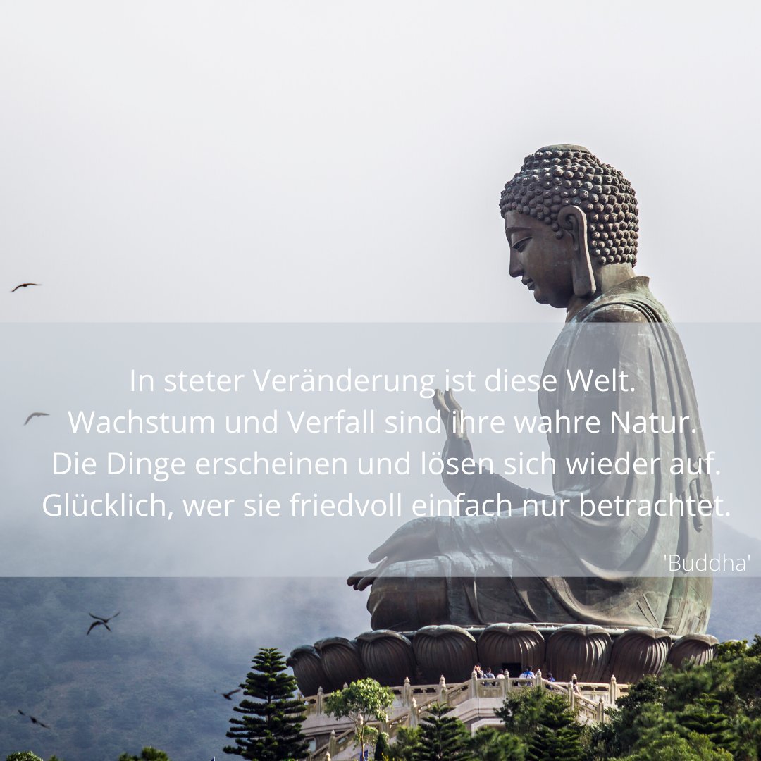 eaboapp's tweet photo. #Friede #Buddha #yoga #pilates #feldenkrais #Meditation #e-abo #patanjali #ayurveda #freude #Glück #Zufriedenheit https://t.co/TUY4hn9cxz