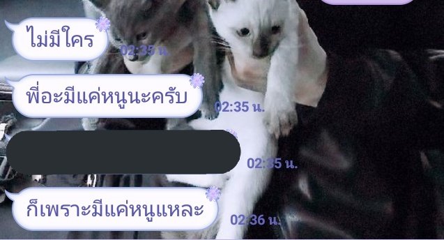น้องแมวด้านหลังน่ารักจัง