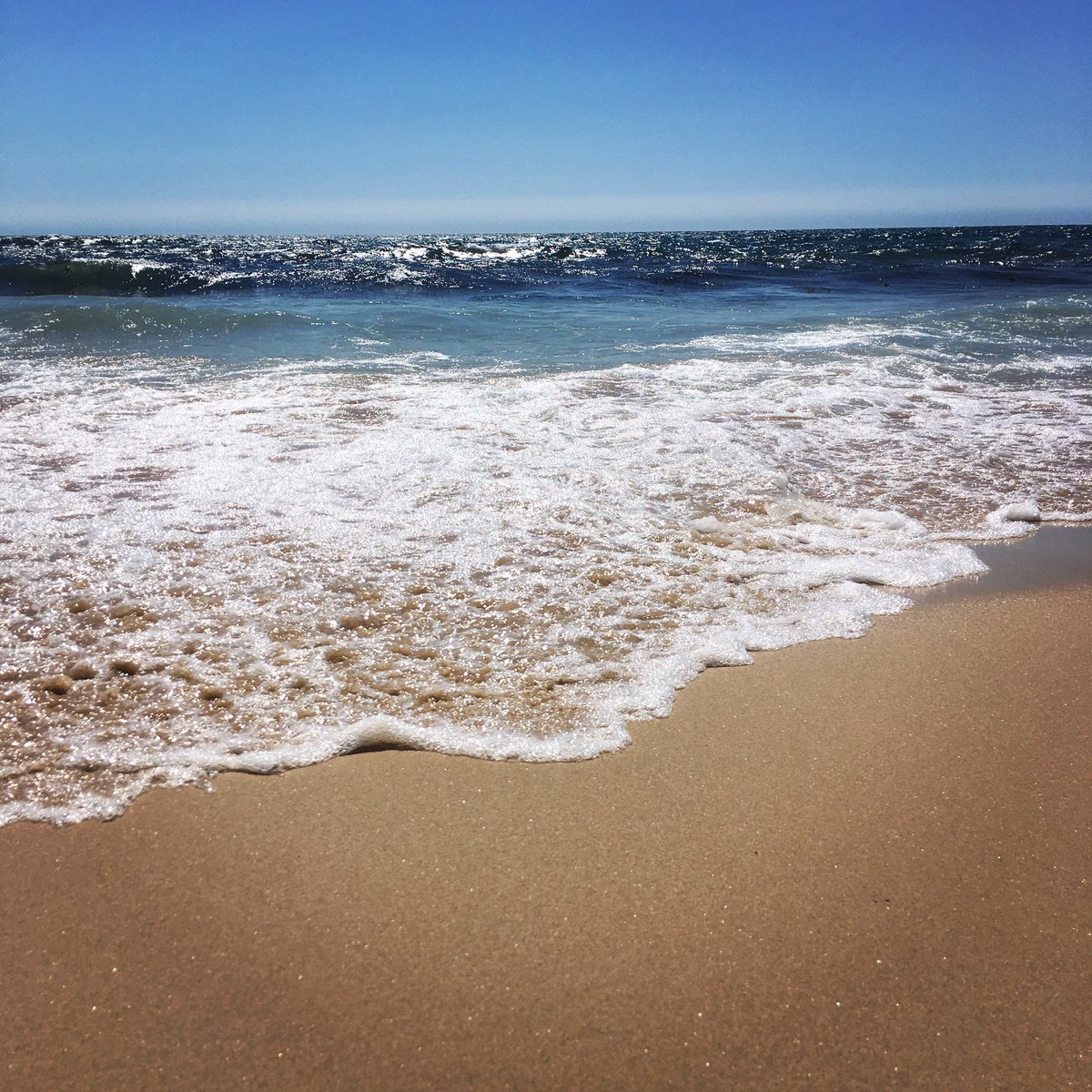 KMAllan_writer's tweet photo. Itโs not an Australian Christmas if you donโt take a trip to the beach ๐. I hope youโre all enjoying that crazy time between Xmas & New Year when no one knows what day it is.
...
#writerbreak #beach #ocean #naturephotography #australianchristmas #summer #sand #seagulls #water https://t.co/ZV9DxEtUJm