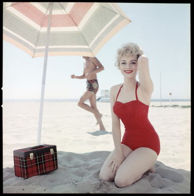 Fritters tweet media