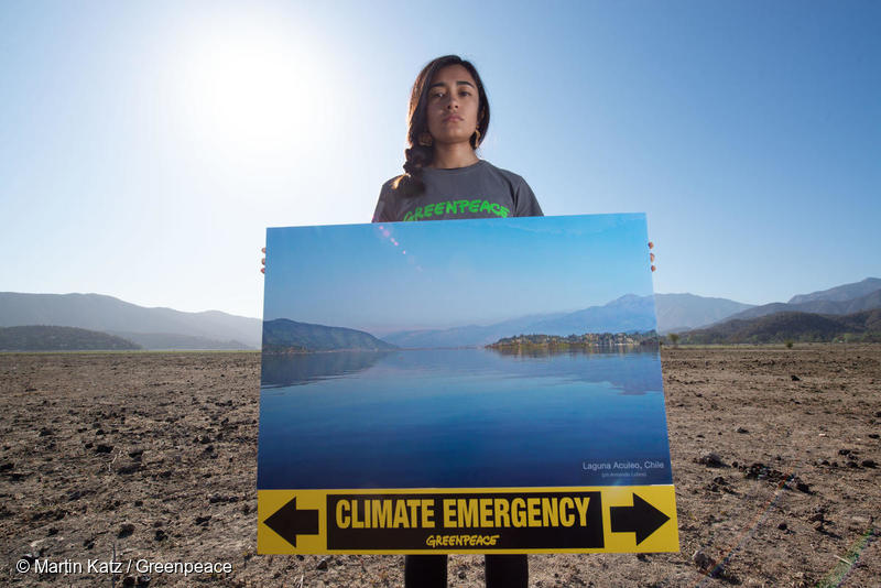 Greenpeace International tweet media
