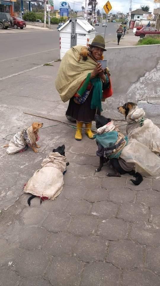 .#PerroOGato  no pongas pretextos!!! #NoAlAbandono. La foto dice más que mil palabras! ❤️❤️