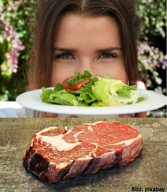 echtfett's tweet photo. Warum ich nach 17 Jahren #Vegetarismus wieder angefangen habe Fleisch zu essen
#LowCarb #Klimawandel #Gesundheit #Hunger

https://t.co/O1AHwSPkiO https://t.co/fojdCwb2sh