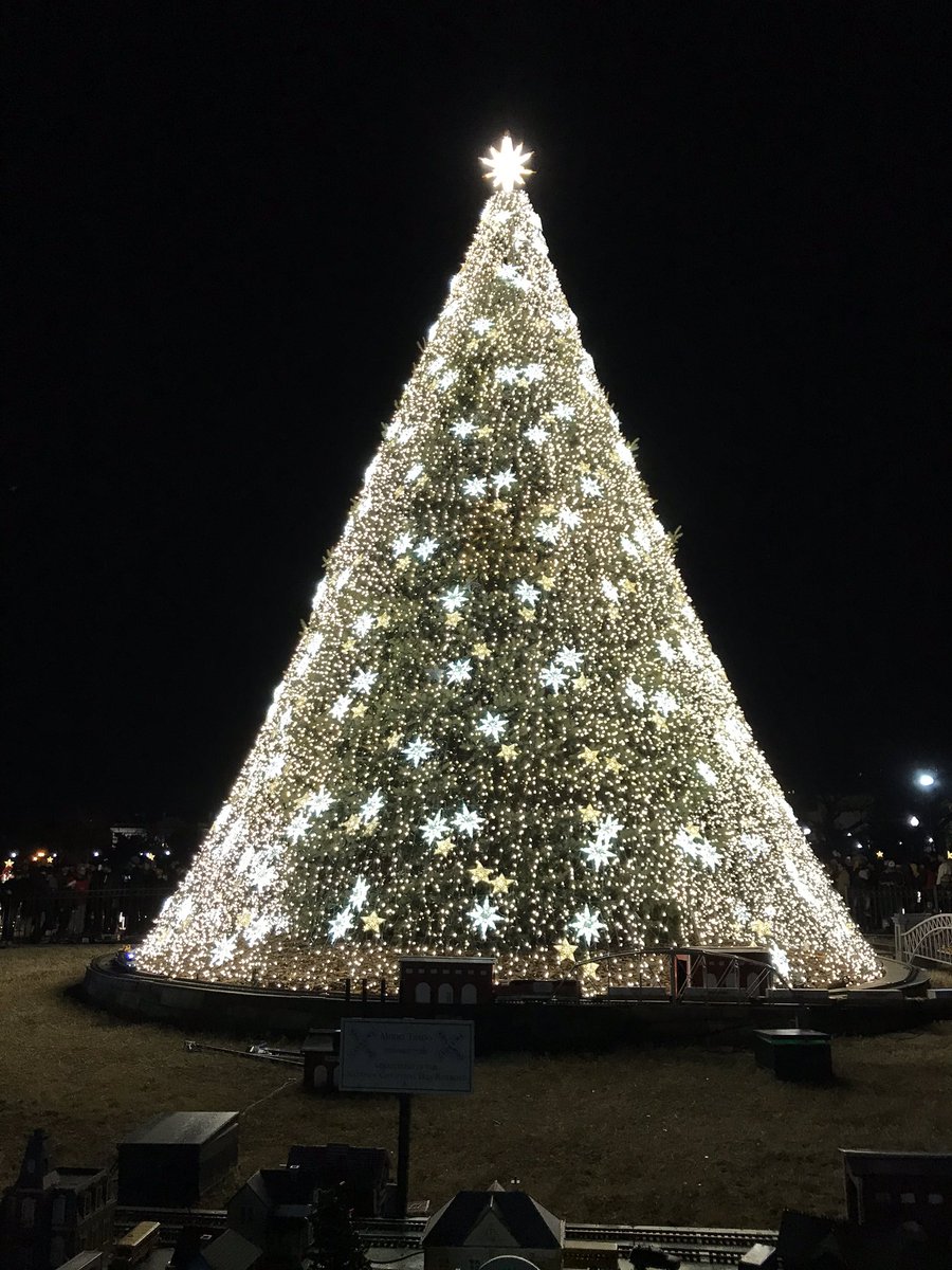 timrobotics's tweet image. 