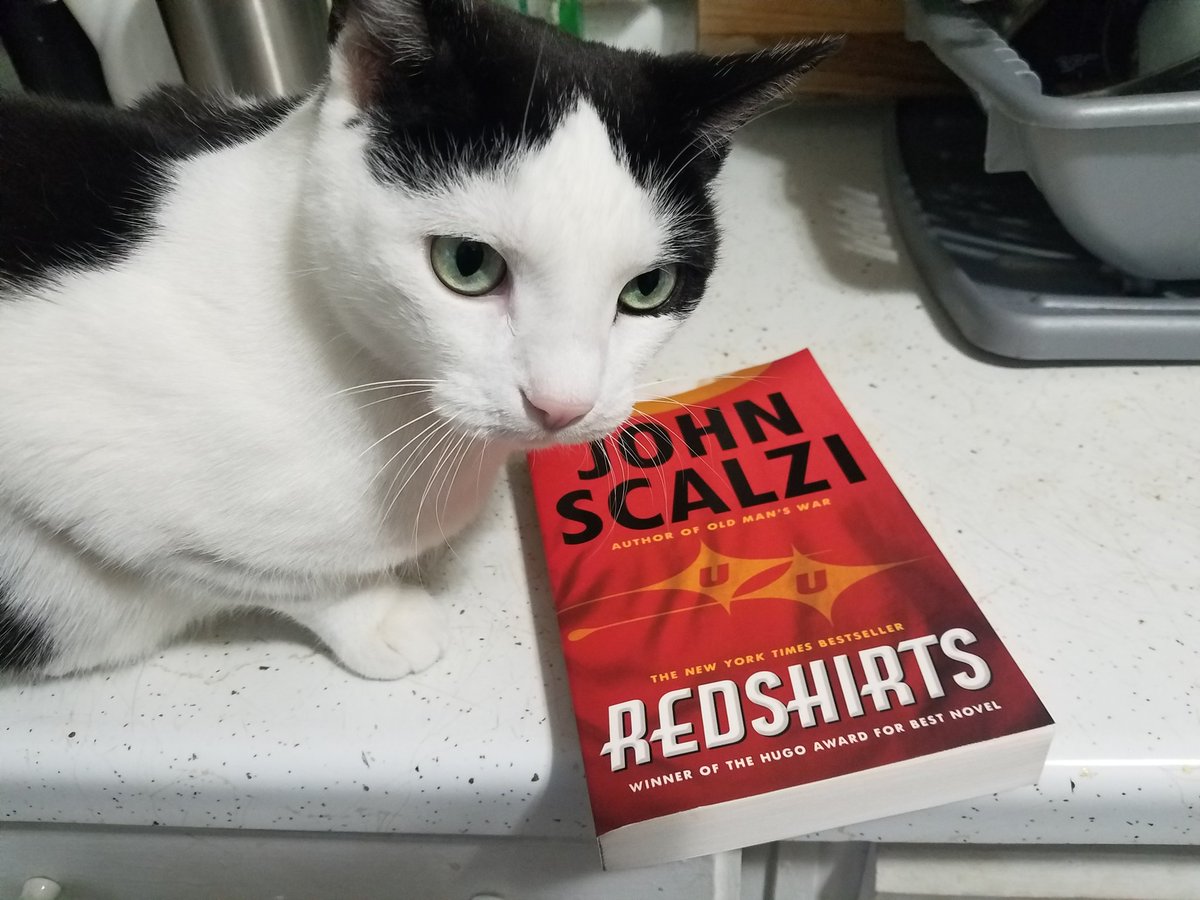 LP_Reads's tweet image. #Reading a non-ebook is rare for me. This was a #christmadgift I'm really excited to #read. If I'm lucky I may even get some #kitty cuddles.