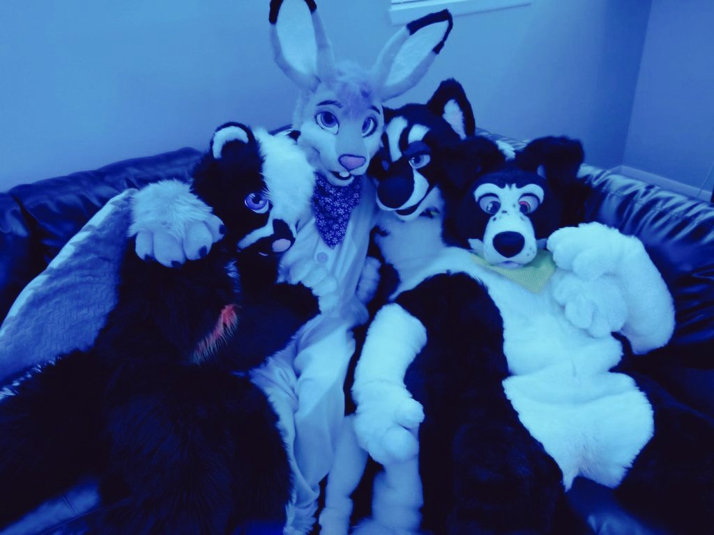 Slimdrake12's tweet photo. Happy #SuitUpSaturday
Here are some of my favorite suit pics I've gotten with peeps over the year! Looking forward to more fuzzy shenanigans with everyone in 2020 especially once Guil finally becomes a real boy 🤗😁💚💚
Can't be tagged in pics: @FeralCollie https://t.co/acqkBIViT7