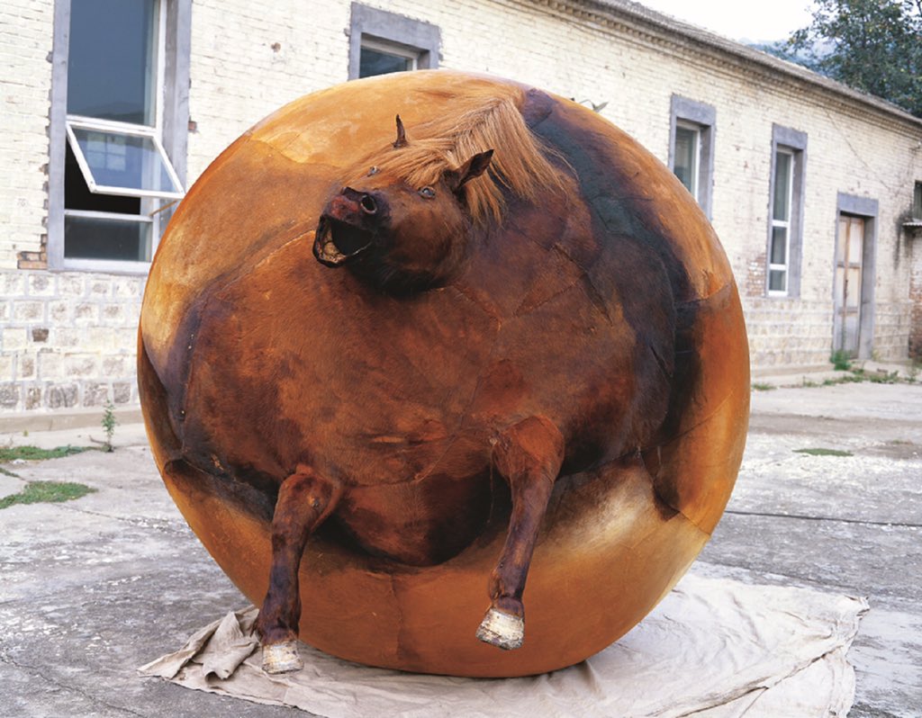 Сферический конь в вакууме картинки