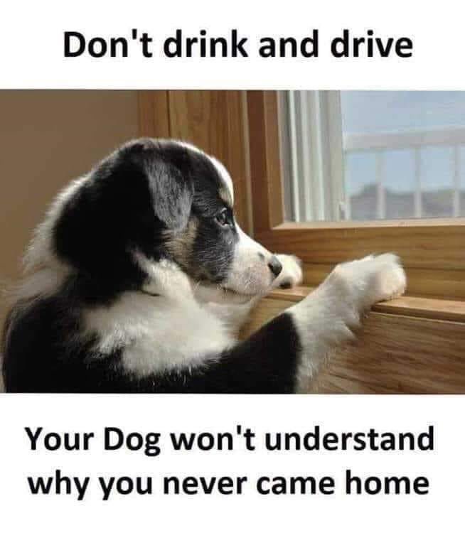 avfcaux's tweet photo. Don’t Drink &amp; Drive #DontDrinkAndDrive https://t.co/3nFhMmOMdm