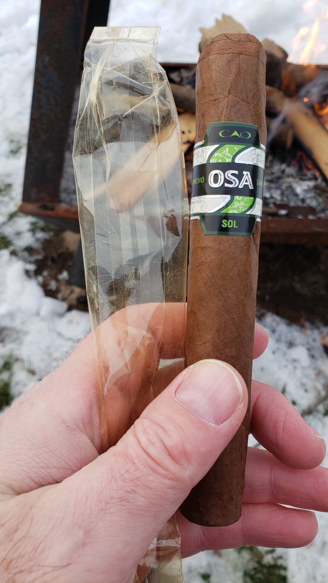 This @caocigars OSA Sol has a bit of age on it. #yellowcello
