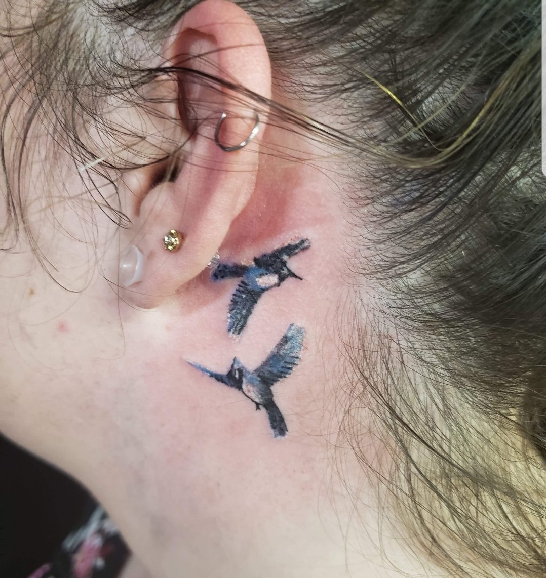 Blue Jay Bird Tattoos  फट शयर