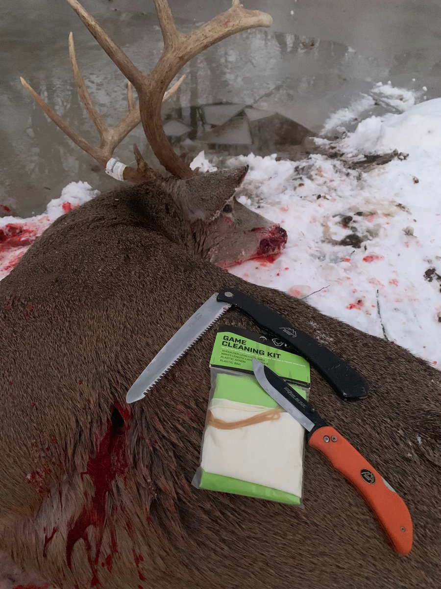 Drury Outdoors (@druryoutdoors) on Twitter photo Field dressing essentials ✅
<a href="/oeknives/">Outdoor Edge Knives & Tools</a> cut through wild game effortlessly while the <a href="/HuntingMadeEasy/">HuntingMadeEasy</a> Game Cleaning Kit keeps you clean & protected from start to finish 🙌🏼 Field dressing essentials ✅
<a href="/oeknives/">Outdoor Edge Knives & Tools</a> cut through wild game effortlessly while the <a href="/HuntingMadeEasy/">HuntingMadeEasy</a> Game Cleaning Kit keeps you clean & protected from start to finish 🙌🏼