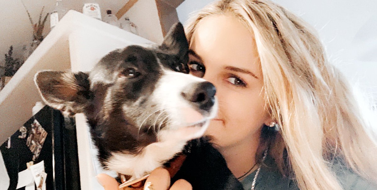 HansenTasha's tweet photo. happy birthday to the shithead that changed my family’s life ❤️ we love you reno, hope you had the bestest day ever pal 🤩 https://t.co/fIVE7MOl6l