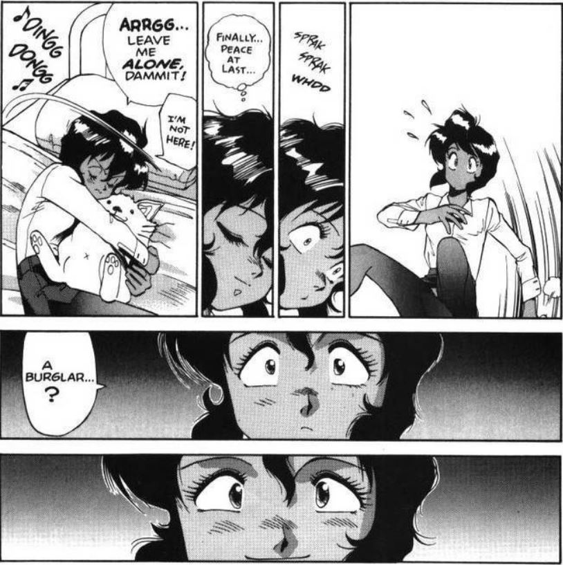 ガンスミスキャッツ