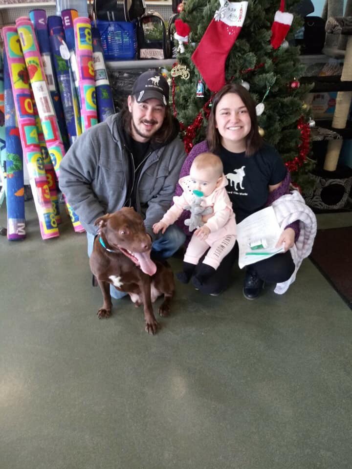 callme_laurs's tweet photo. Rusty found his furever home with us🐾💙 #tripawdsrule https://t.co/oruHSDXiXr