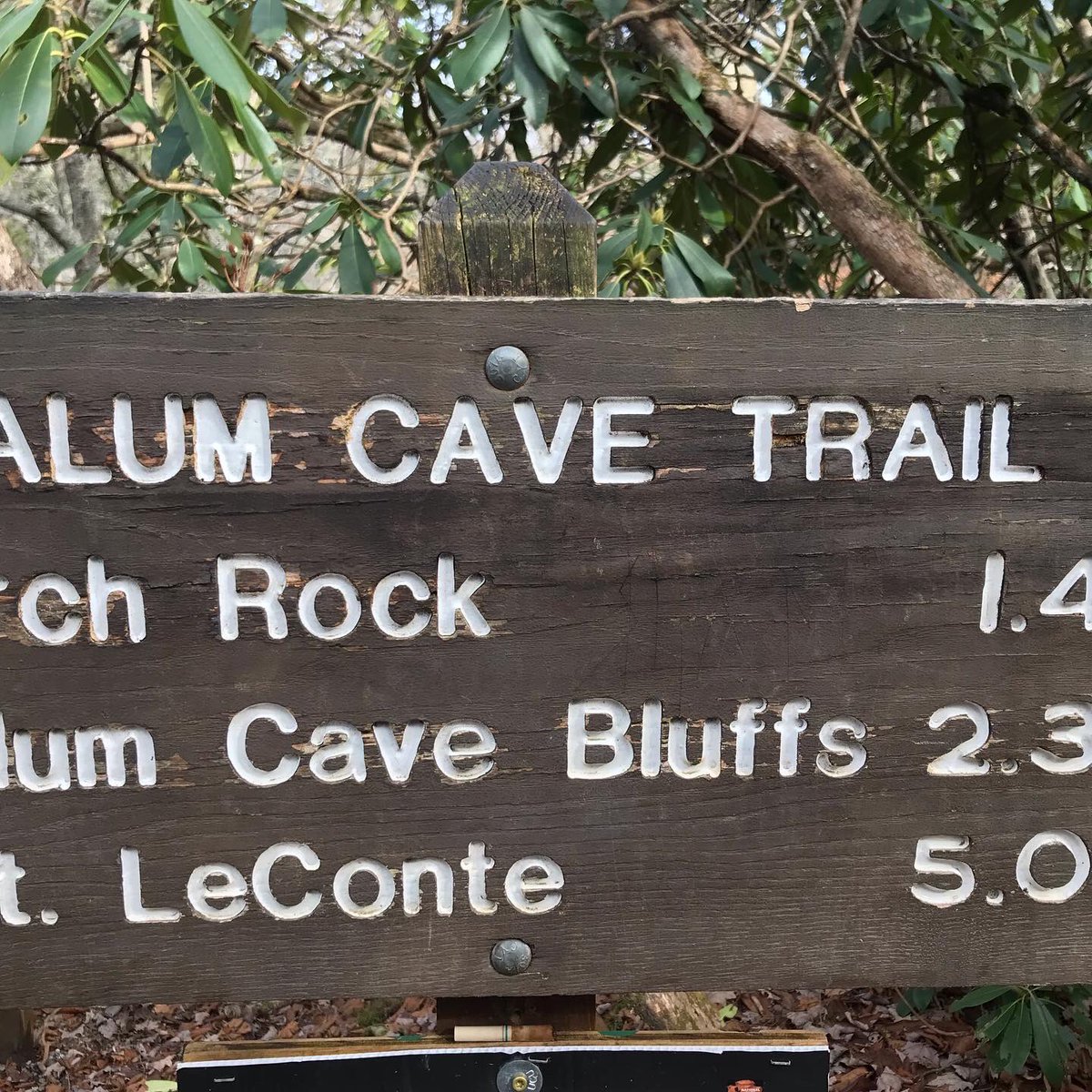 cdkramer5's tweet image. Hiking fun with my guys! Alum Cave Trail did not disappoint!