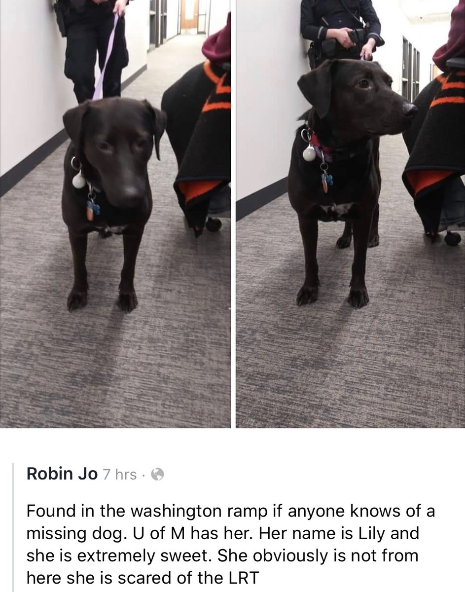 UMNpublicsafety's tweet image. (612) 624-2677(COPS) with information.