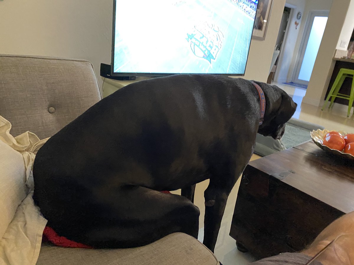 Mdelgado10M's tweet photo. Every ⁦@OU_Football⁩ fan right now #PeachBowl https://t.co/97PTObsdPg