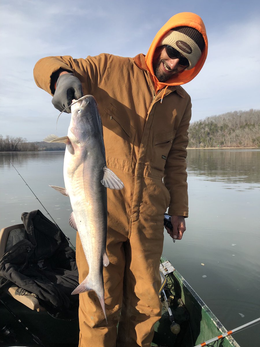 Pb catfish