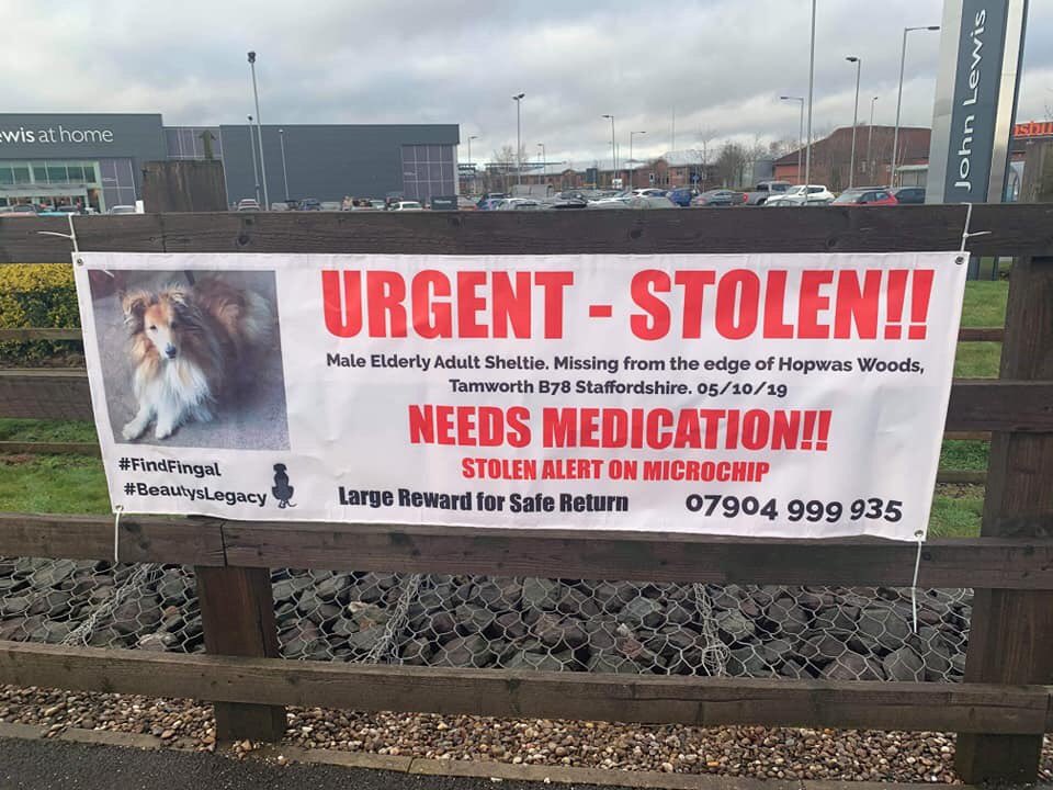 colliesontherun's tweet photo. @juliagarland73 @MissingPetsGB @MolliePug @missingdogs155 @SheridanAlcock @KarenFi51820768 @veryluckypugs @thedogfinder @AlanDaffern @AnneGreen2909 So Christmas has been and gone, and FINGAL is still not home...please join us in a renewed surge of posts to bring this elderly gent back to his heartbroken family 💕
Call 07904999935 or 07866026343
IN COMPLETE CONFIDENCE
#findfingal
LARGE REWARD OFFERED IN CASH https://t.co/KODBKRDSmd