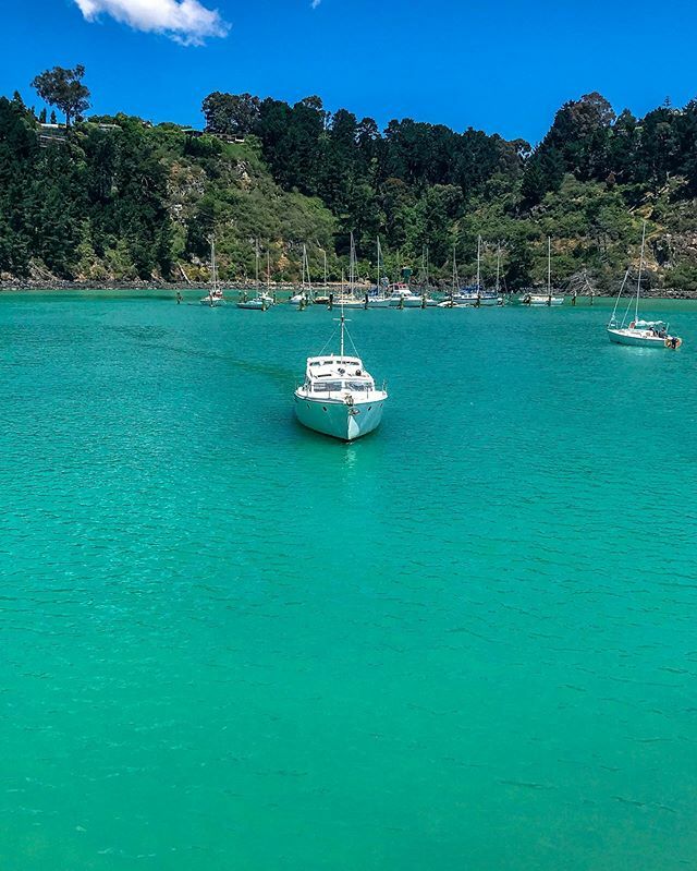 ⚓️Snorkels To Snow❄️ tweet media