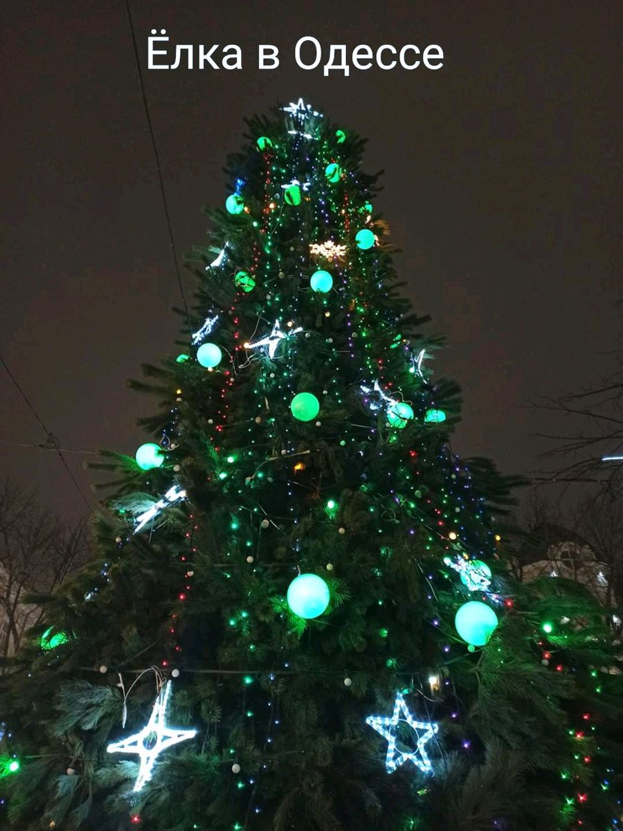 KARNA60482701's tweet photo. #This_is #my #New_Year's #tree 🎄 #Love #art #creative_life #moments #beatiful #view #Night #Walking 💃 #Iyi_geceleri #Aşk #çok_güzel #an  #kalbim 💖 #Seni_seviyorum #gezi https://t.co/dXcmGXnQnG