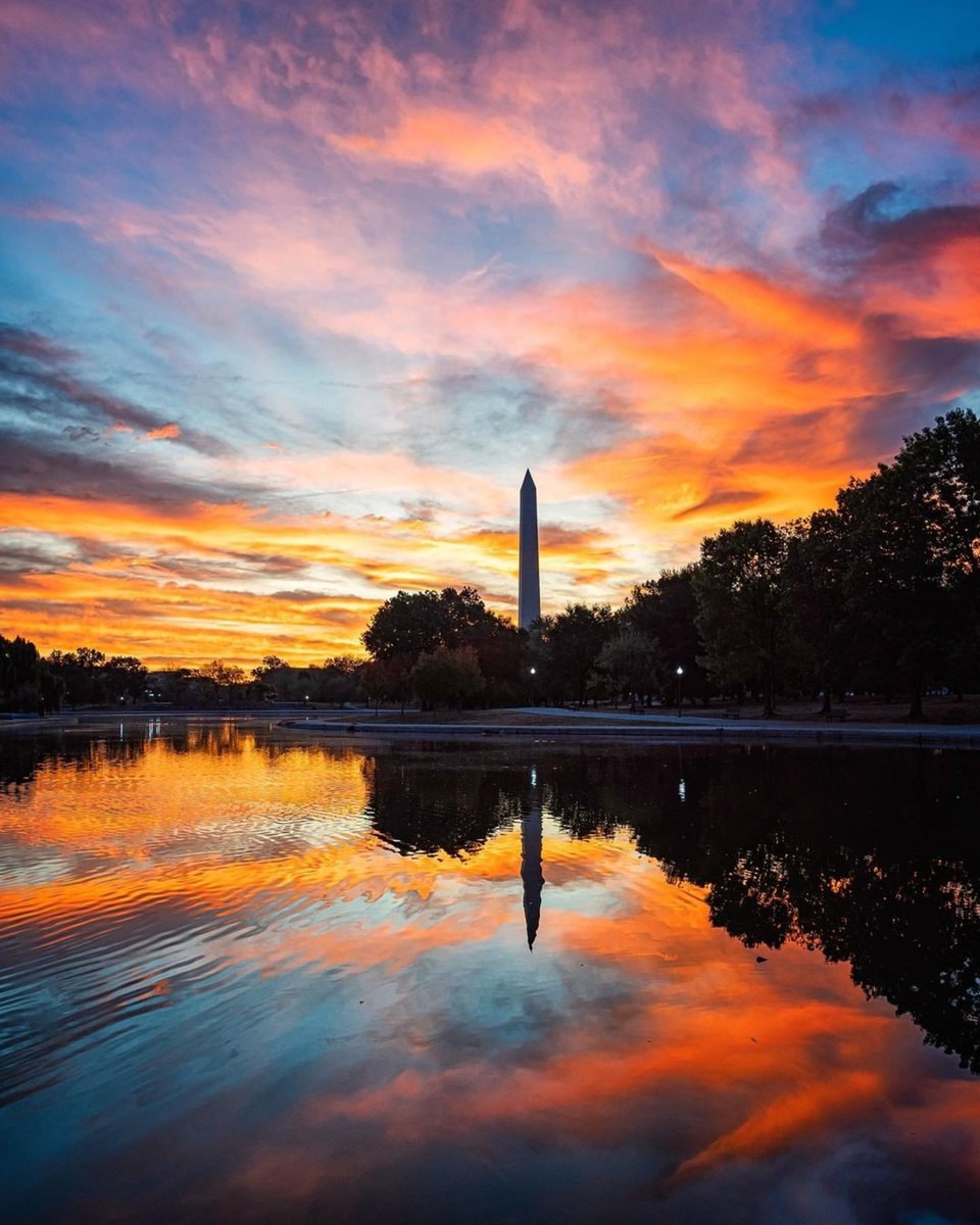 Westin_DC's tweet photo. A beautiful sight, we’re happy tonight. 

Photo by visitwashingtondc https://t.co/aG6PbptnL6