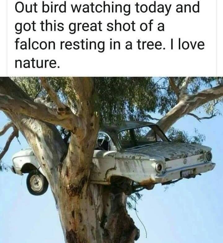 #BirdWatching #Falcon #EnjoyLife #FindAdventure #GearToGetOut