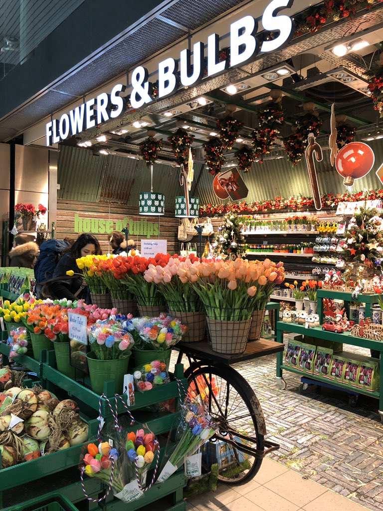 TarletonRes's tweet photo. Fresh tulips at Amsterdam airport https://t.co/uFE06vooRy