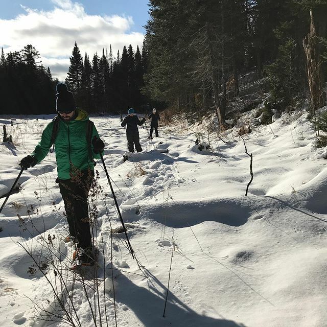 FindYourWild1's tweet photo. Stellar day for an Algonguin Snowshoe Safari today. #algonquin #algonquinparkcanada #Snowshoe #snowshoeing #Tubbs #explorersedge #travelontario https://t.co/ovse4Cvks2